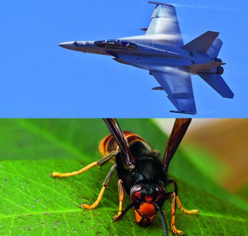 Extremes Fliegen